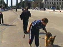 Вторая поездка в Германию на автомобиле: Берлин