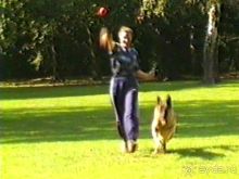 Вторая поездка в Германию на автомобиле: Берлин