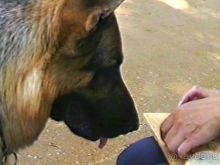 Вторая поездка в Германию на автомобиле: Берлин