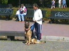 Вторая поездка в Германию на автомобиле: Берлин