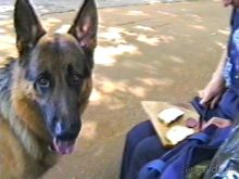 Вторая поездка в Германию на автомобиле: Берлин