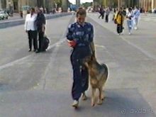 Вторая поездка в Германию на автомобиле: Берлин