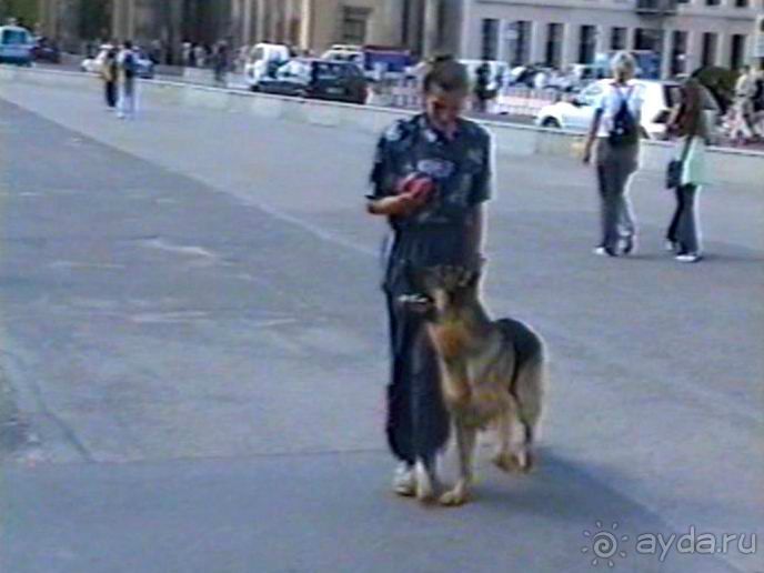 Вторая поездка в Германию на автомобиле: Берлин