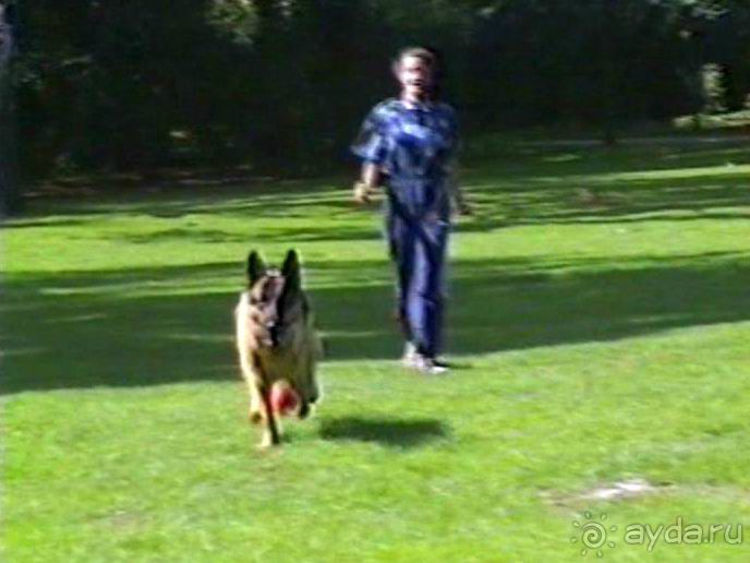 Вторая поездка в Германию на автомобиле: Берлин