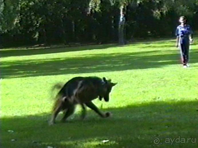 Вторая поездка в Германию на автомобиле: Берлин