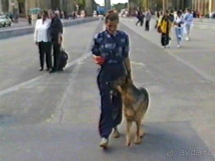 Вторая поездка в Германию на автомобиле: Берлин