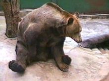 Нанси и Мец