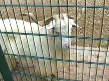 Нанси и Мец