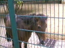 Нанси и Мец