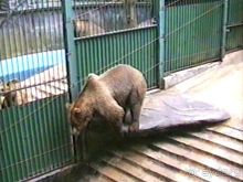 Нанси и Мец