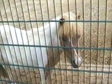 Нанси и Мец