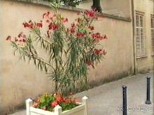 Нанси и Мец