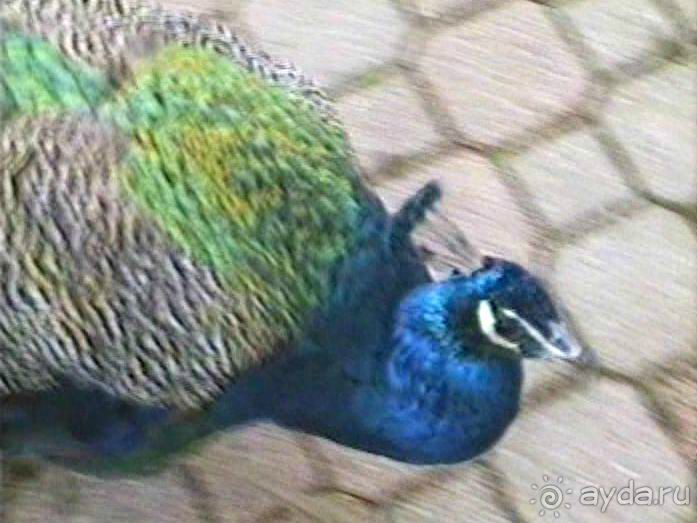 Нанси и Мец