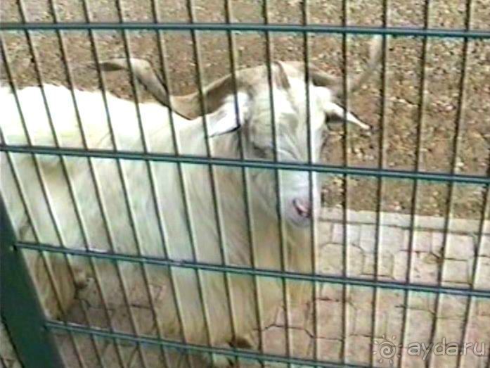 Нанси и Мец