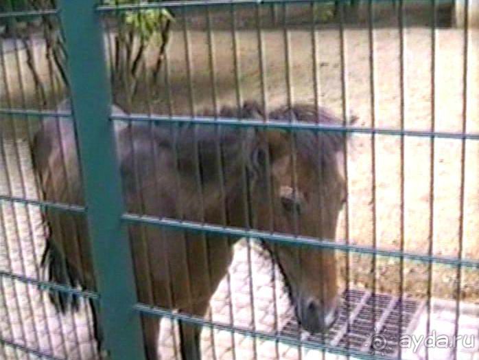 Нанси и Мец