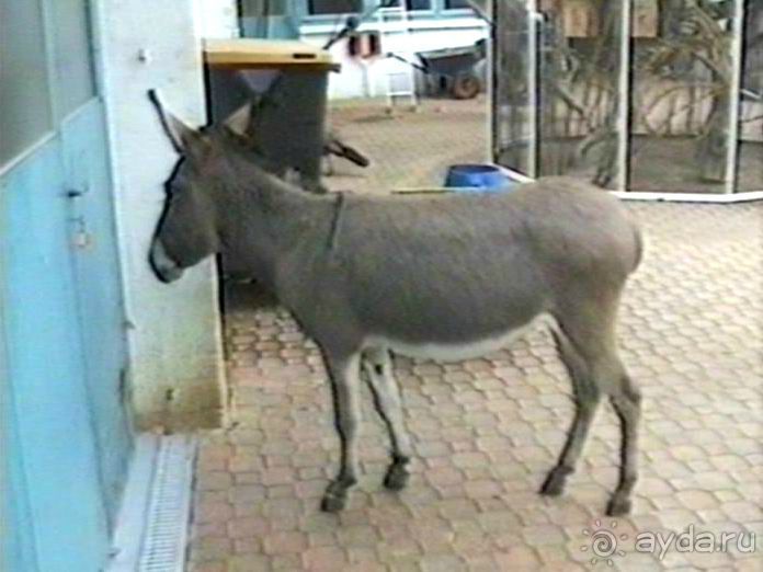 Нанси и Мец