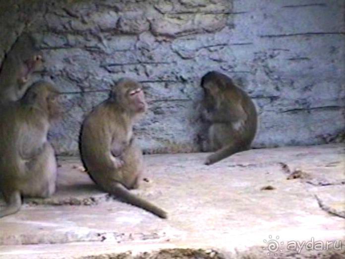 Нанси и Мец