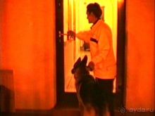 Альбом отзыва "Пятая поездка в Германию, Францию и Бельгию на автомобиле с немецкой овчаркой. Часть 1. В погоне за "