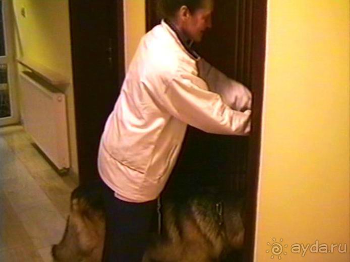 Пятая поездка в Германию, Францию и Бельгию на автомобиле с немецкой овчаркой. Часть 1. В погоне за 