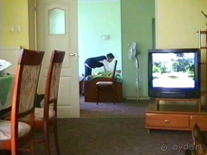 Пятая поездка в Германию, Францию и Бельгию на автомобиле с немецкой овчаркой. Часть 1. В погоне за 