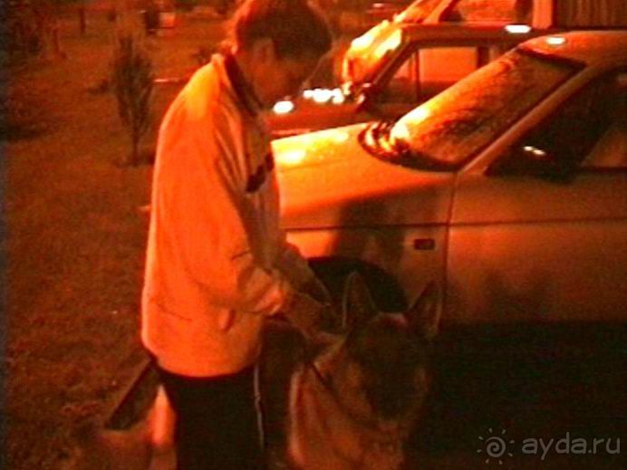 Пятая поездка в Германию, Францию и Бельгию на автомобиле с немецкой овчаркой. Часть 1. В погоне за 