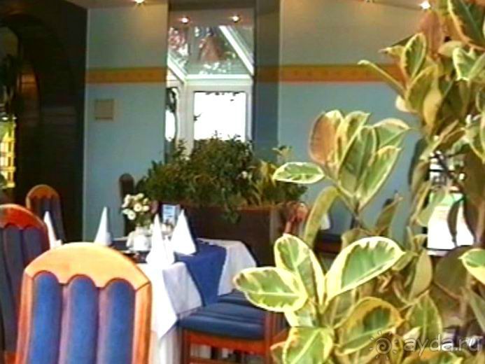 Пятая поездка в Германию, Францию и Бельгию на автомобиле с немецкой овчаркой. Часть 1. В погоне за 