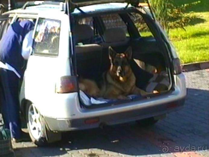 Пятая поездка в Германию, Францию и Бельгию на автомобиле с немецкой овчаркой. Часть 1. В погоне за 