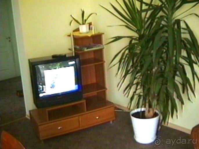 Пятая поездка в Германию, Францию и Бельгию на автомобиле с немецкой овчаркой. Часть 1. В погоне за 