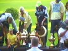 Поездка в Германию на автомобиле с немецкой овчаркой. Часть 8. Окончание Зигера