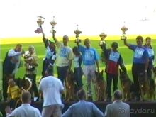 Поездка в Германию на автомобиле с немецкой овчаркой. Часть 8. Окончание Зигера