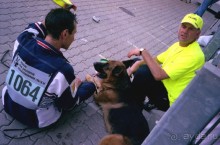 Поездка в Германию на автомобиле с немецкой овчаркой. Часть 8. Окончание Зигера