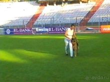 Поездка в Германию на автомобиле с немецкой овчаркой. Часть 8. Окончание Зигера