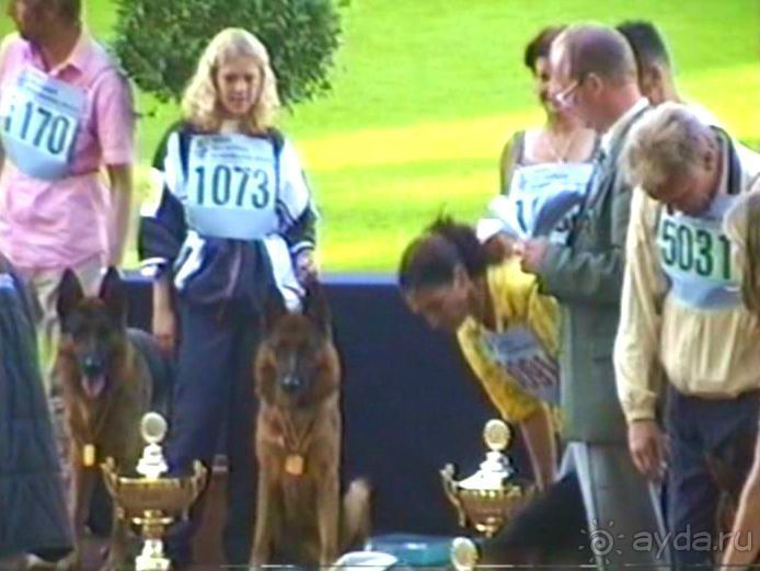 Поездка в Германию на автомобиле с немецкой овчаркой. Часть 8. Окончание Зигера