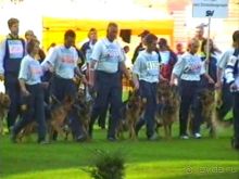 Поездка в Германию на автомобиле с немецкой овчаркой. Часть 8. Окончание Зигера