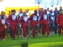 Поездка в Германию на автомобиле с немецкой овчаркой. Часть 8. Окончание Зигера