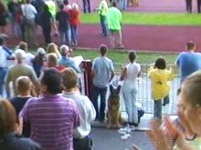 Поездка в Германию на автомобиле с немецкой овчаркой. Часть 8. Окончание Зигера