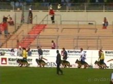 Поездка в Германию на автомобиле с немецкой овчаркой. Часть 8. Окончание Зигера