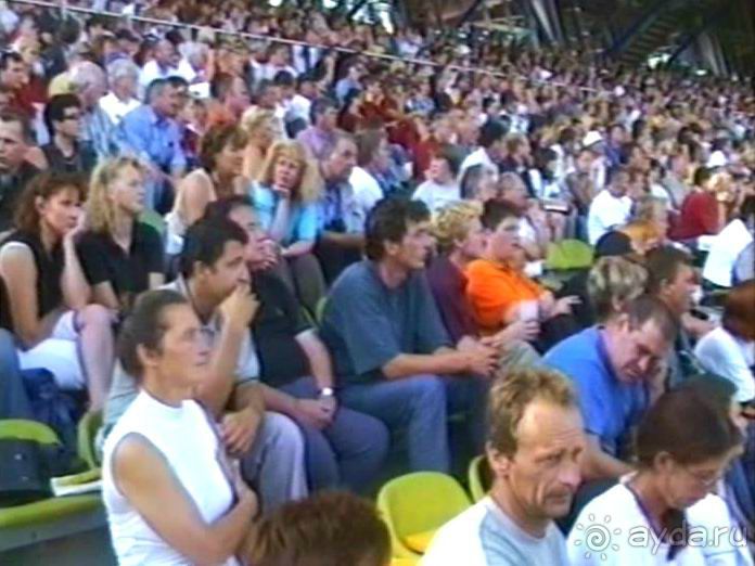 Поездка в Германию на автомобиле с немецкой овчаркой. Часть 8. Окончание Зигера