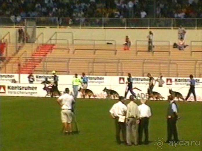 Поездка в Германию на автомобиле с немецкой овчаркой. Часть 8. Окончание Зигера