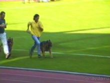 Поездка в Германию на автомобиле с немецкой овчаркой. Часть 8. Окончание Зигера