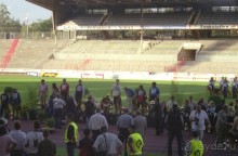 Поездка в Германию на автомобиле с немецкой овчаркой. Часть 8. Окончание Зигера