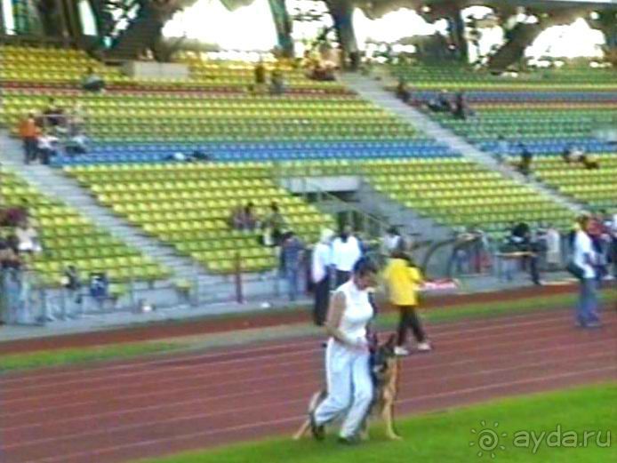 Поездка в Германию на автомобиле с немецкой овчаркой. Часть 8. Окончание Зигера