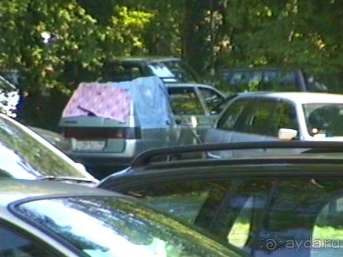 Поездка в Германию на автомобиле с немецкой овчаркой. Часть 8. Окончание Зигера