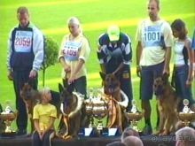 Поездка в Германию на автомобиле с немецкой овчаркой. Часть 8. Окончание Зигера