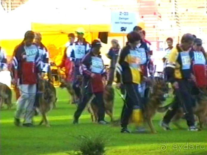 Поездка в Германию на автомобиле с немецкой овчаркой. Часть 8. Окончание Зигера