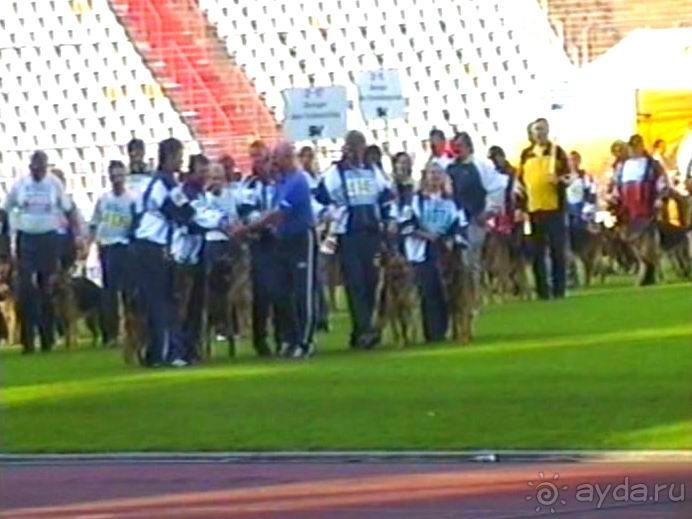 Поездка в Германию на автомобиле с немецкой овчаркой. Часть 8. Окончание Зигера