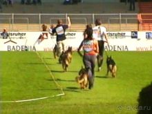 Поездка в Германию на автомобиле с немецкой овчаркой. Часть 8. Окончание Зигера