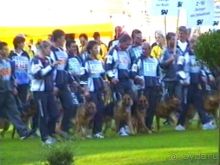 Поездка в Германию на автомобиле с немецкой овчаркой. Часть 8. Окончание Зигера