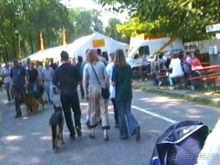 Поездка в Германию на автомобиле с немецкой овчаркой. Часть 8. Окончание Зигера