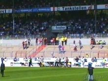 Поездка в Германию на автомобиле с немецкой овчаркой. Часть 8. Окончание Зигера